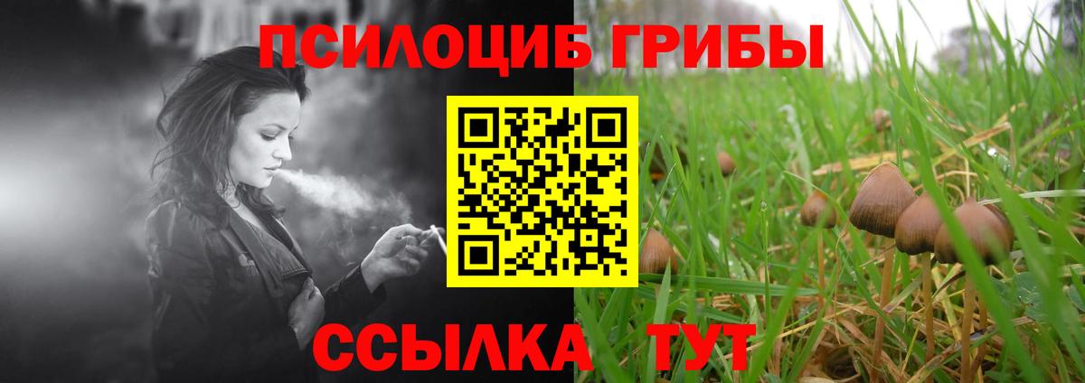 Псилоцибиновые грибы ЛСД Славянск-на-Кубани