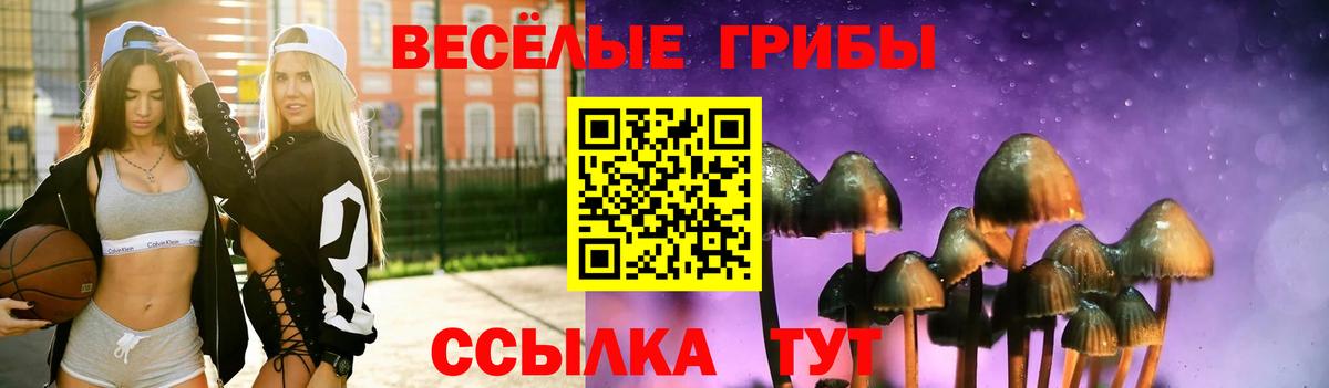Славянск-на-Кубани  Галлюциногенные грибы прущие грибы  Вход с VPN 